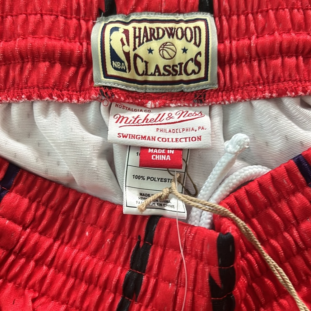 Mitchell & Ness Toronto Raptors Swingman shorts - Picture 5 of 7